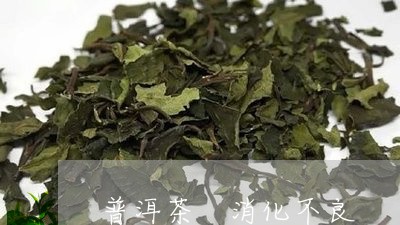 普洱茶 消化不良/2023041243946